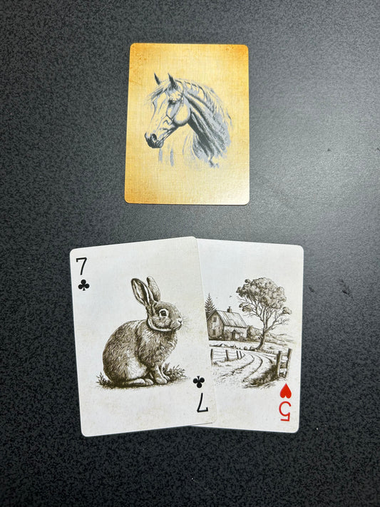2 Random Pulled Playing Cards