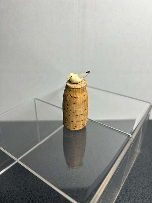 Seagull on Cork